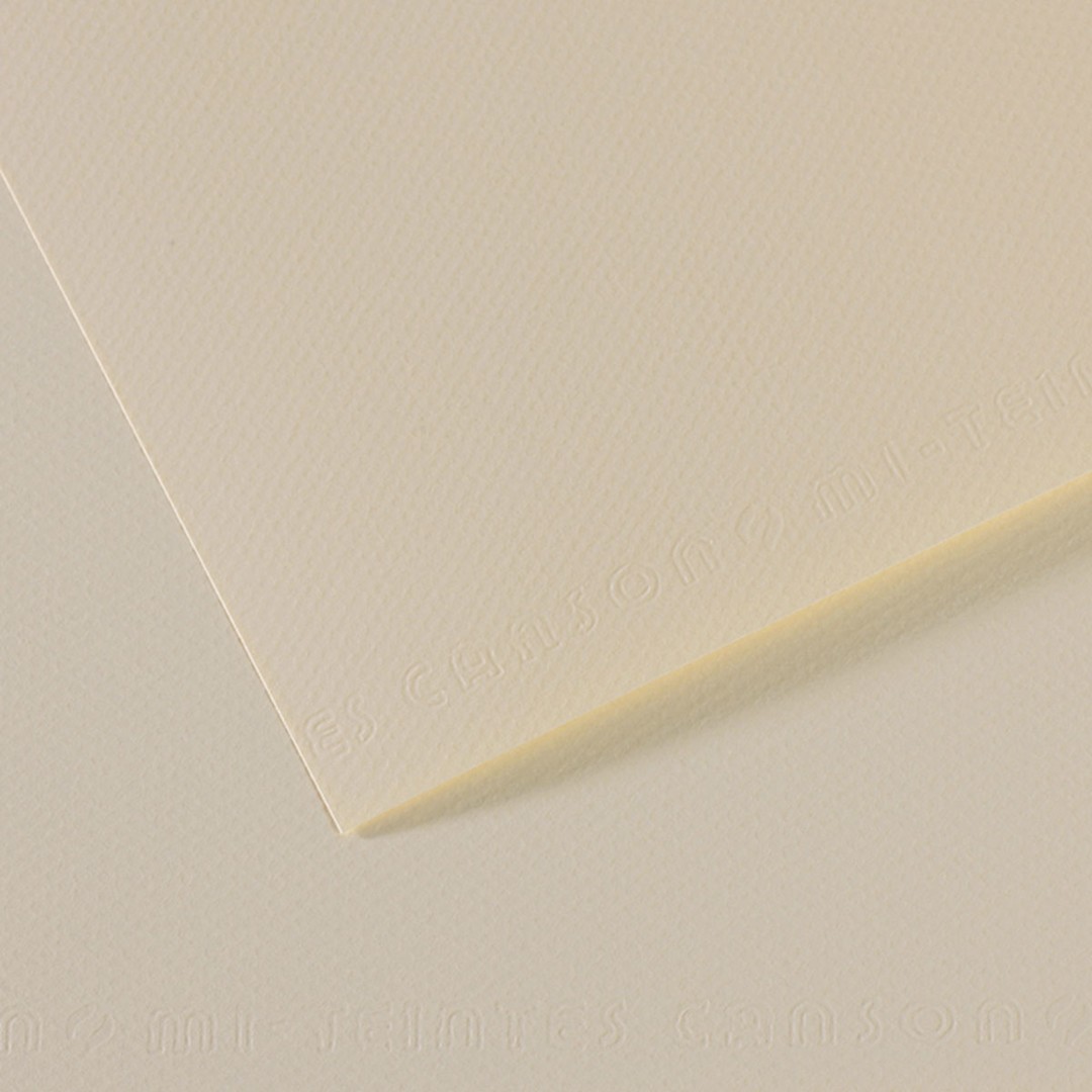 Open in modal - Canson Mi-Teintes Drawing Paper - 19" x 25", Lily, Single Sheet