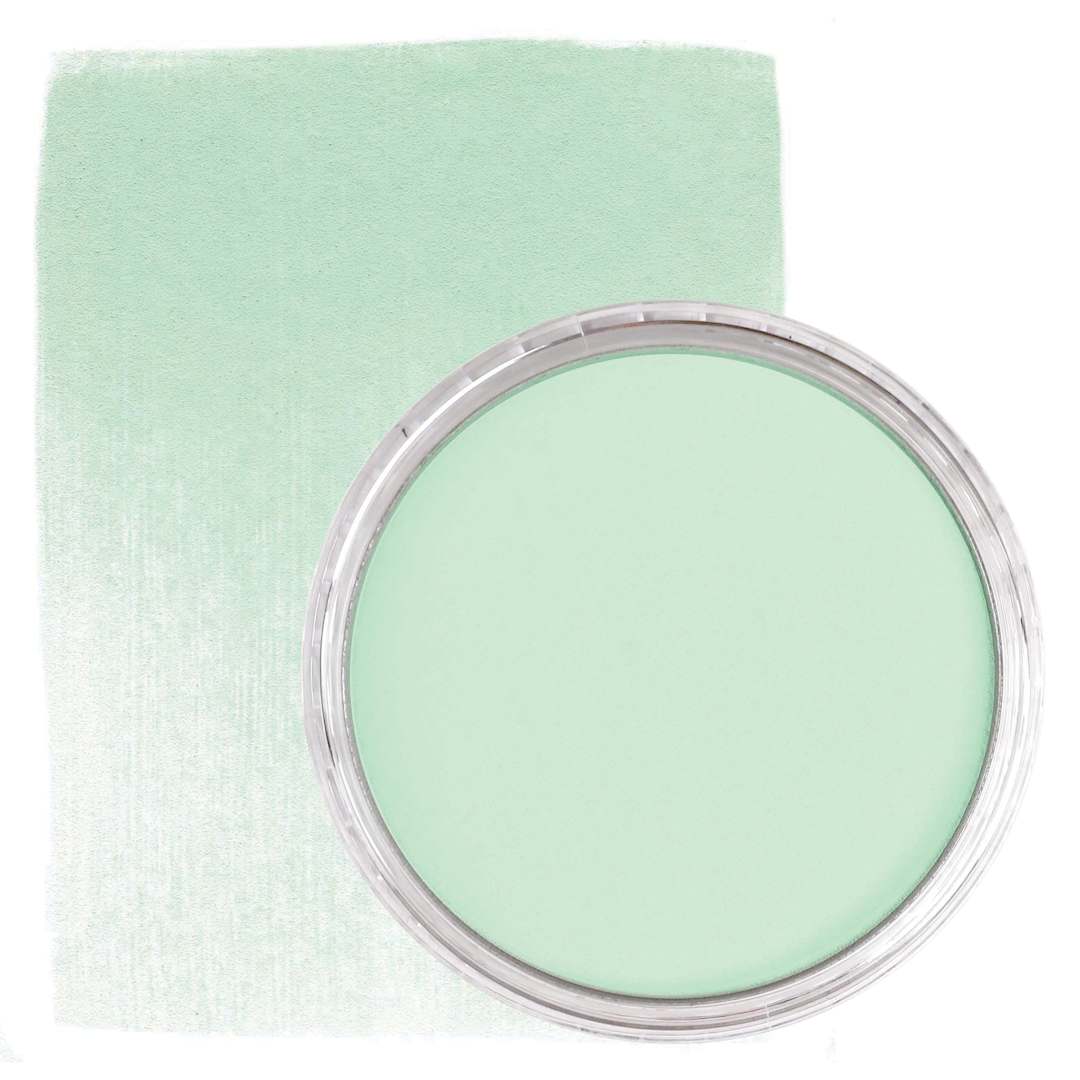 Open in modal - PanPastel Artists’ Painting Pastel - Permanent Green Tint, 640.8, pan and swatch