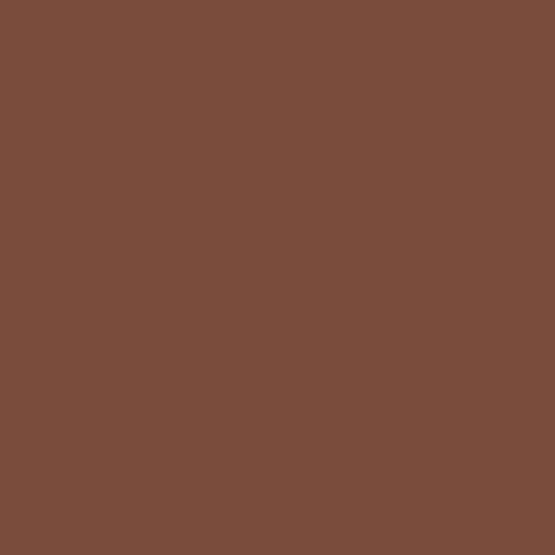 Open in modal - Stabilo Pen 68 - Sienna Swatch