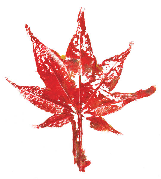 Open in modal - Leaf Print Set - Example of one leaf used with red ink on paper