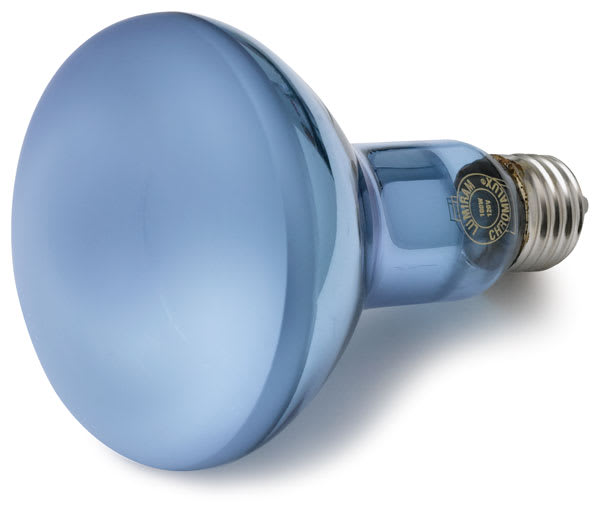Open in modal - Chromalux Full Spectrum Incandescent Reflector Light Bulb shown