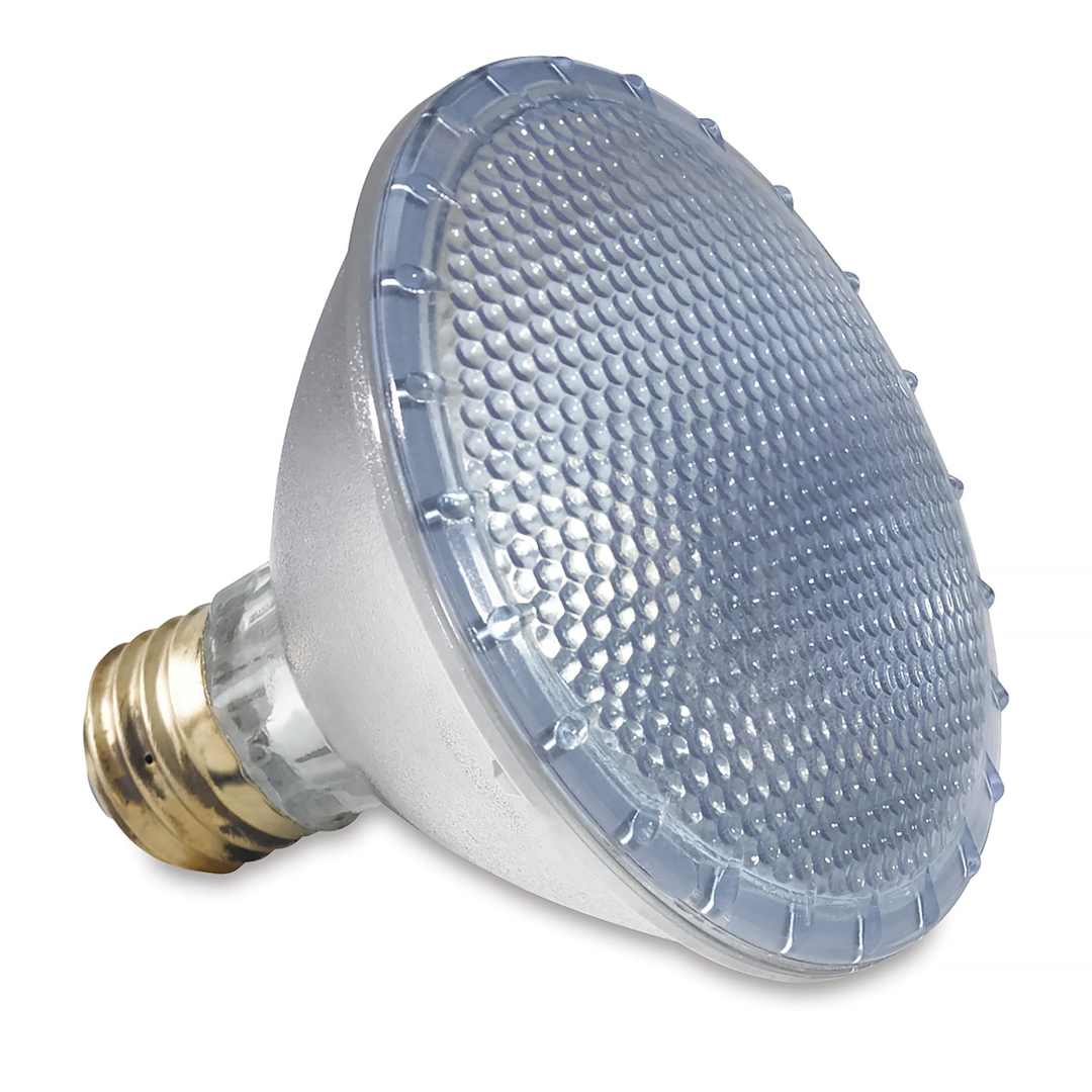 Open in modal - Chromalux Full Spectrum Halogen Light Bulb - 75W Bulb shown
