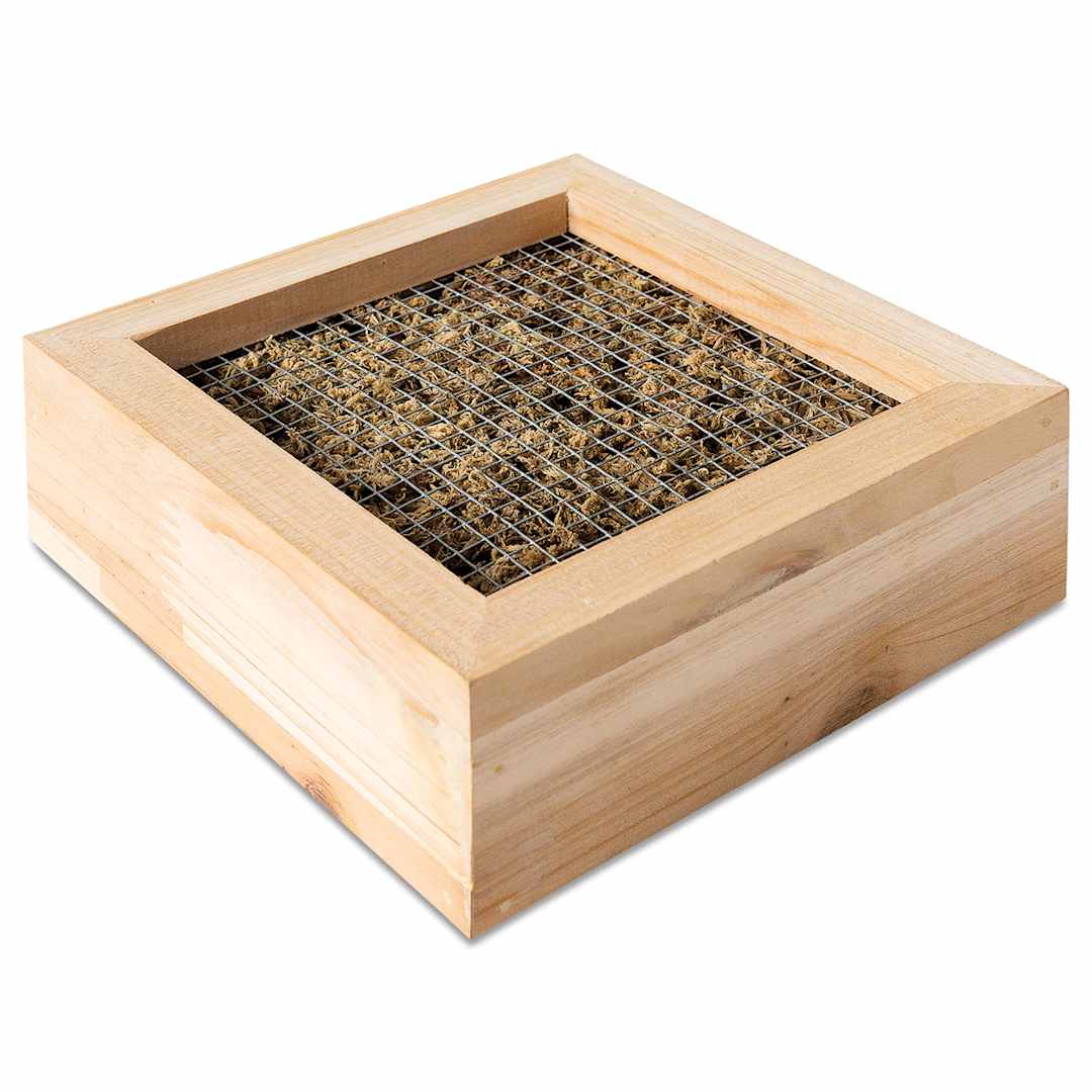 Open in modal - SuperMoss Living Frame - Angled view of frame showing moss and mesh screen