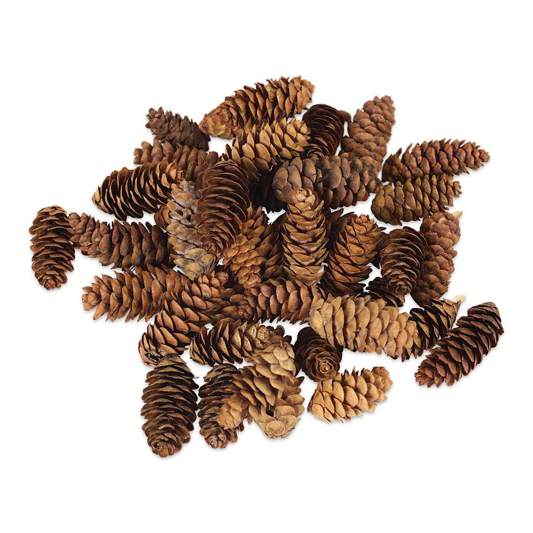 Open in modal - Winter Woods Pine Cones - Several White Spruce Pine Cones in loose pile