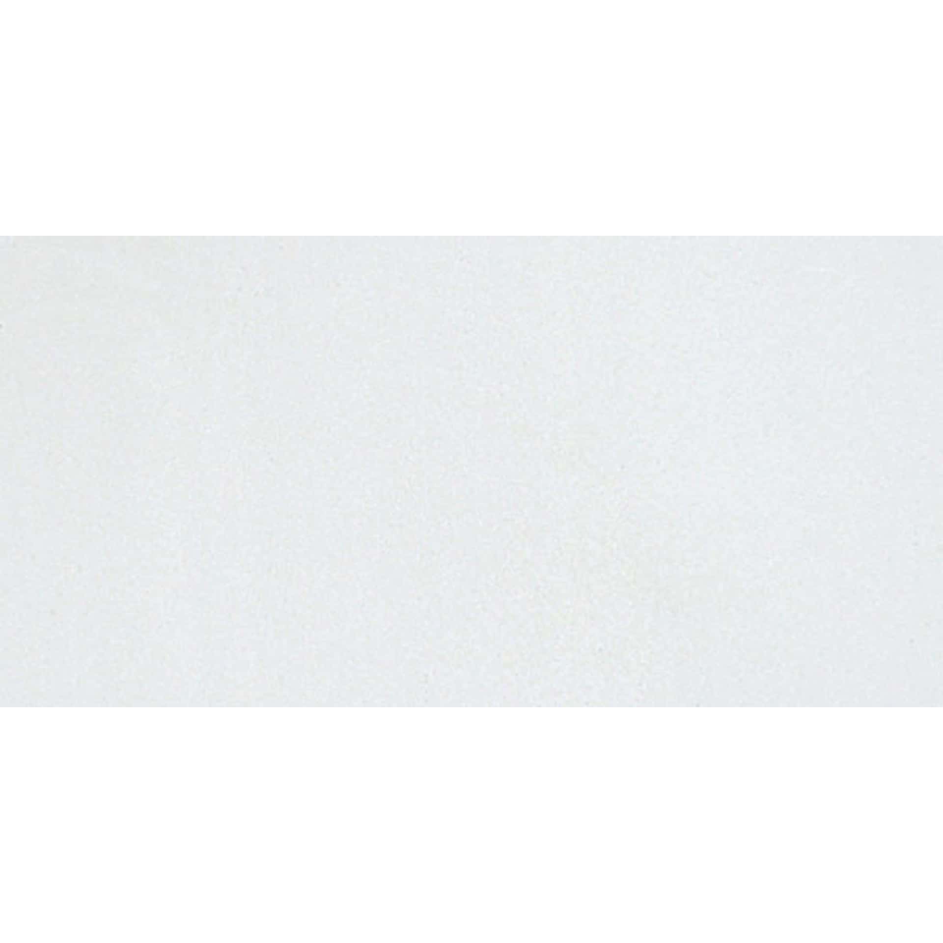 Blick Premium Grade Tempera Paint - White swatch Blick Premium Grade Tempera Paint - White swatch