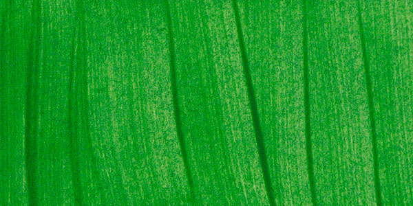 Blick Essentials Tempera Paint - Green swatch