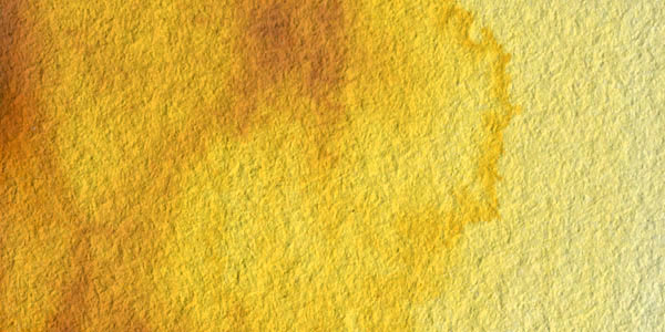 Winsor & Newton Professional Watercolor - Transparent Yellow swatch Winsor & Newton Professional Watercolor - Transparent Yellow swatch