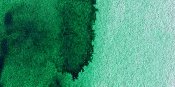 Winsor & Newton Professional Watercolor - Winsor Green (Yellow Shade) swatch Winsor & Newton Professional Watercolor - Winsor Green (Yellow Shade) swatch