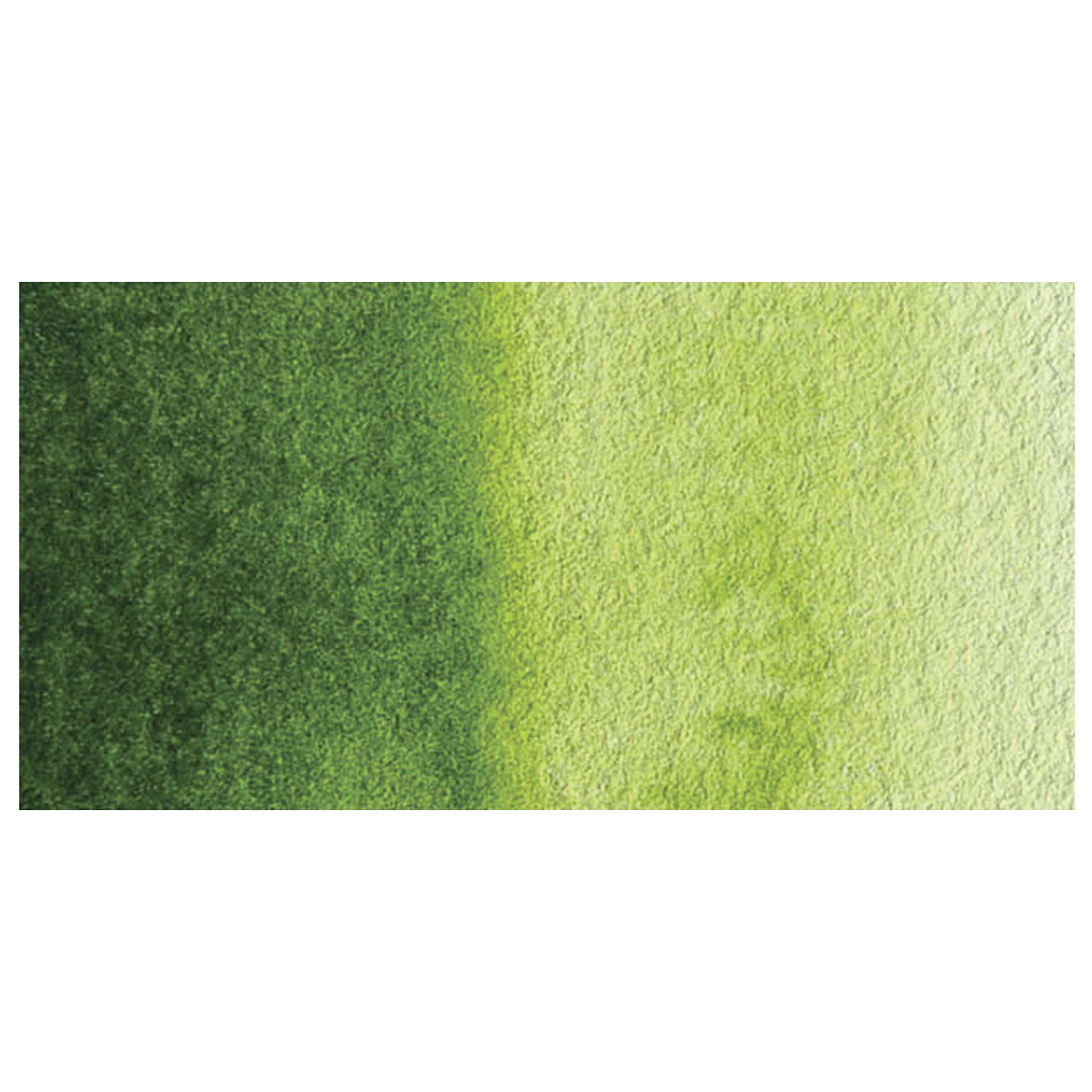 Holbein Artists' Watercolor - Sap Green swatch Holbein Artists' Watercolor - Sap Green swatch