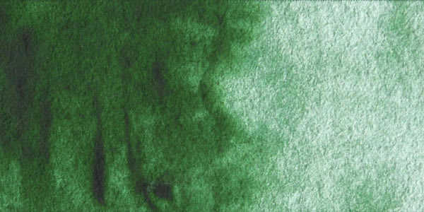 Winsor & Newton Cotman Watercolor - Hooker's Green Light swatch Winsor & Newton Cotman Watercolor - Hooker's Green Light swatch