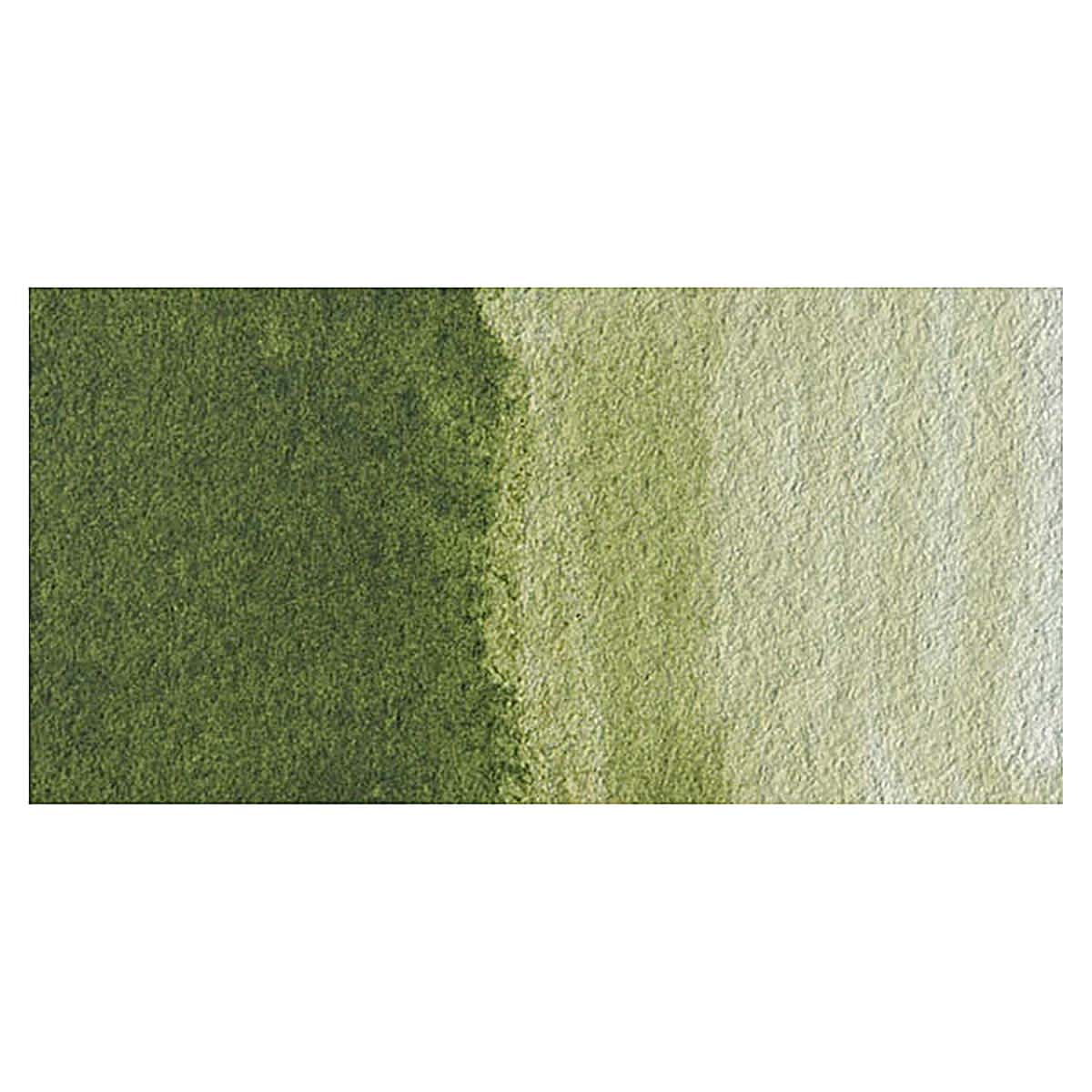 Grumbacher Academy Watercolor - Sap Green swatch