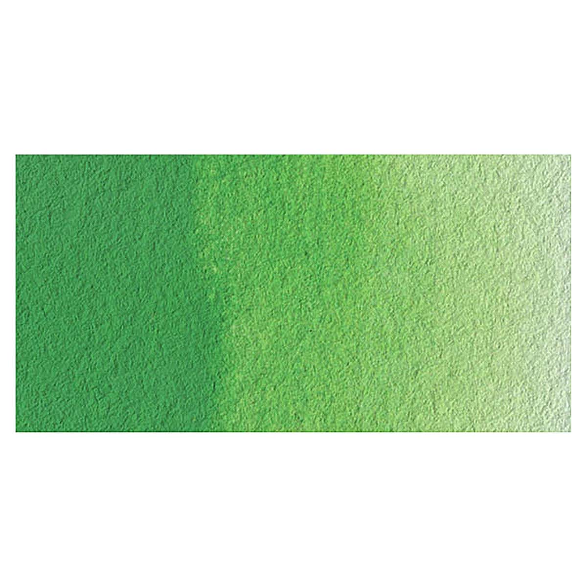 Old Holland Classic Artist Watercolor - Permanent Green swatch