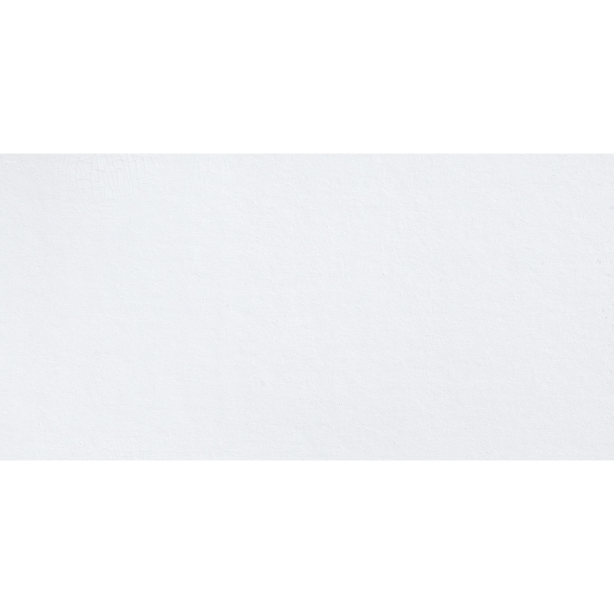 Maimeri Blu Artist Watercolor - Titanium White swatch