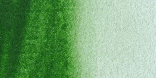 Maimeri Blu Artist Watercolor - Hooker's Green swatch