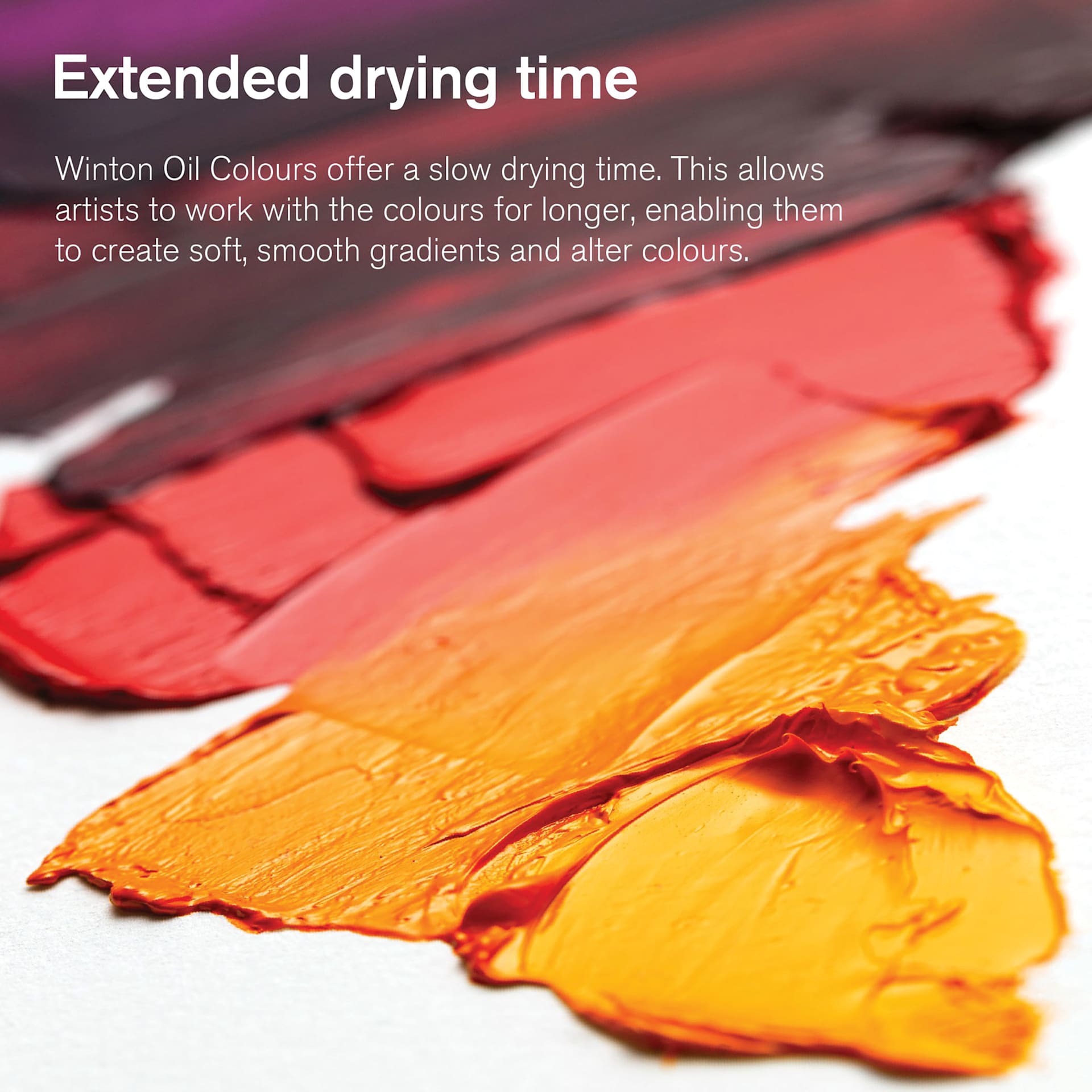 Winsor & Newton Winton Oil Paints offer a slow drying time. Winsor & Newton Winton Oil Paints offer a slow drying time.