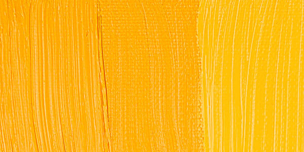 Winsor & Newton Winton Oil Color - Cadmium Yellow Medium swatch