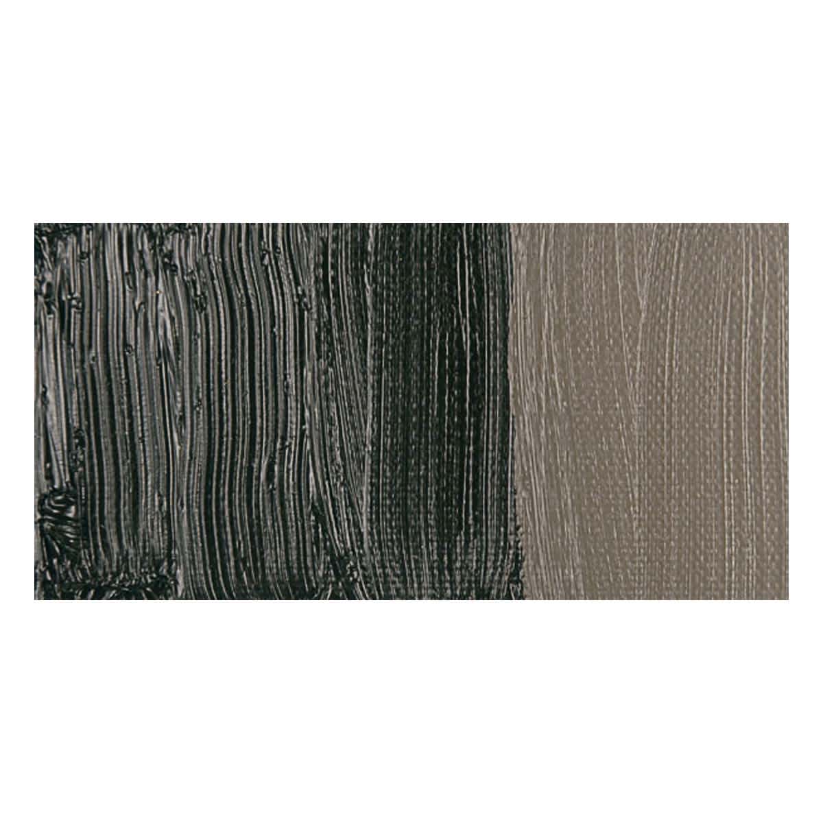 Winsor & Newton Winton Oil Color - Raw Umber swatch