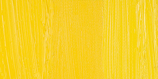 Winsor & Newton Artists' Oil Paint - Cadmium Yellow Pale swatch