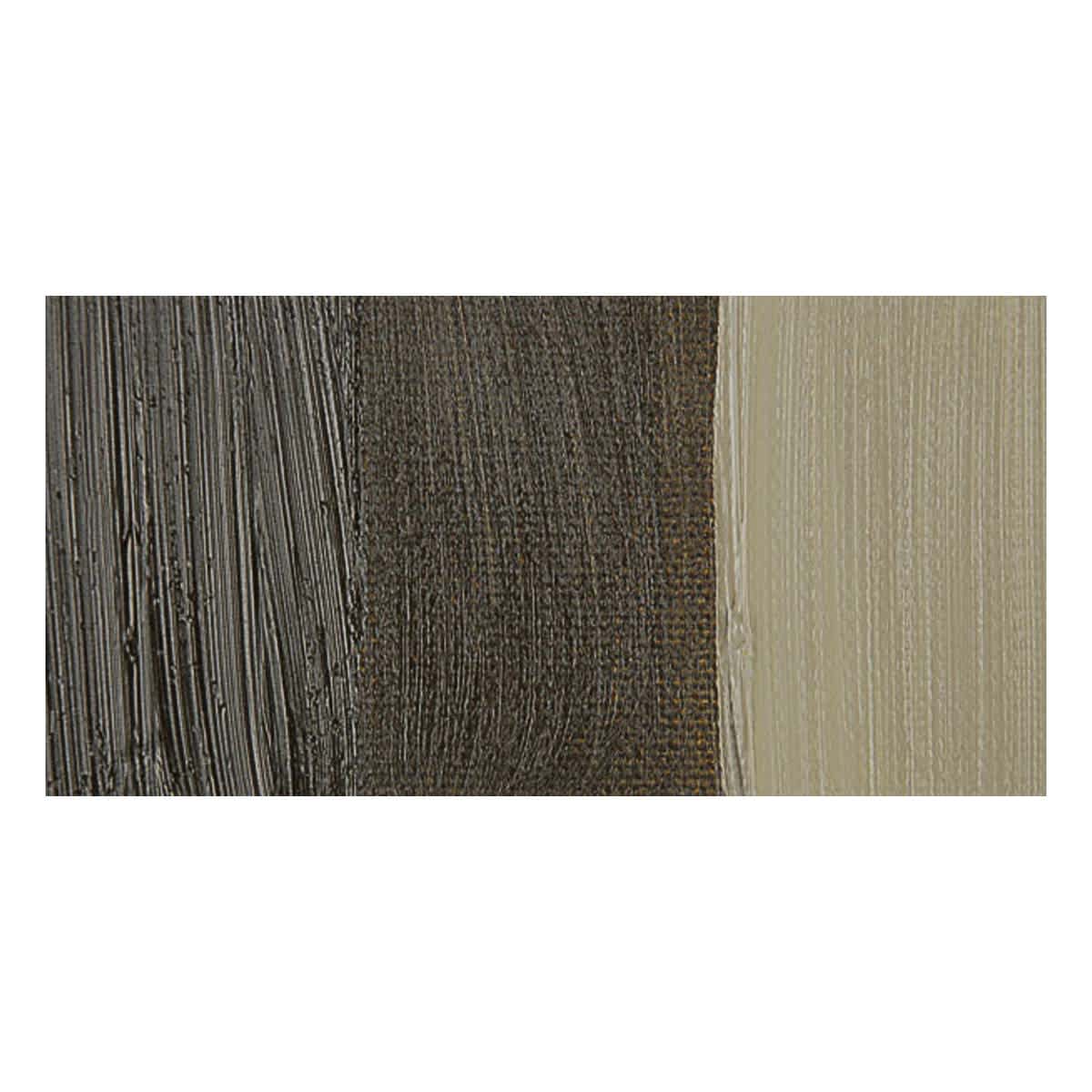 Winsor & Newton Artists' Oil Paint - Raw Umber swatch