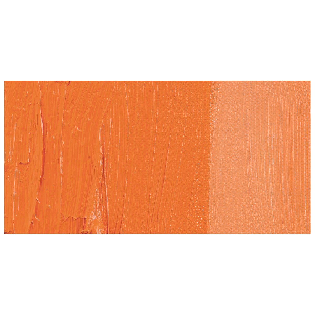 Schmincke Norma Professional Oil Paint - Cadmium Orange swatch