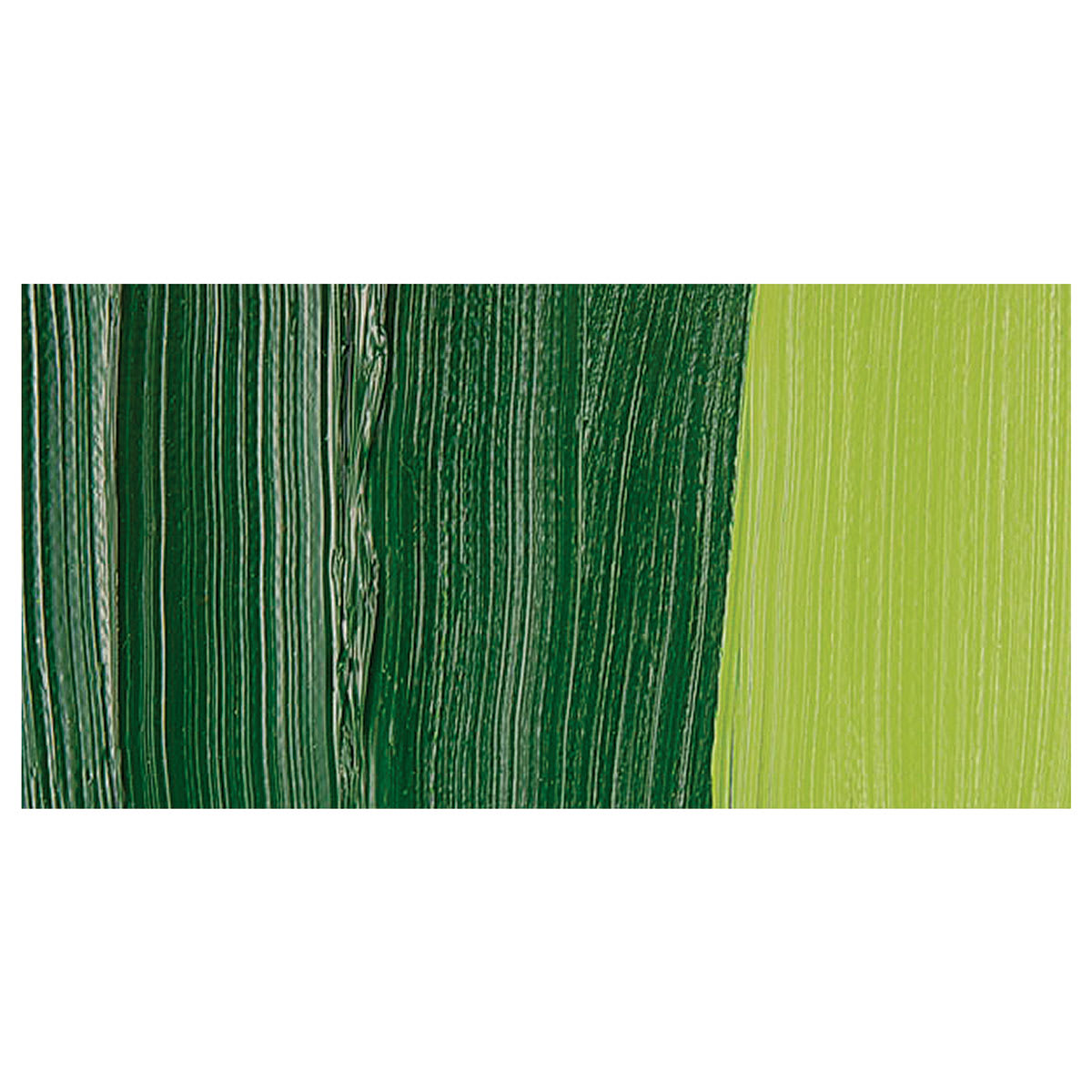 Schmincke Norma Professional Oil Paint - Sap Green swatch