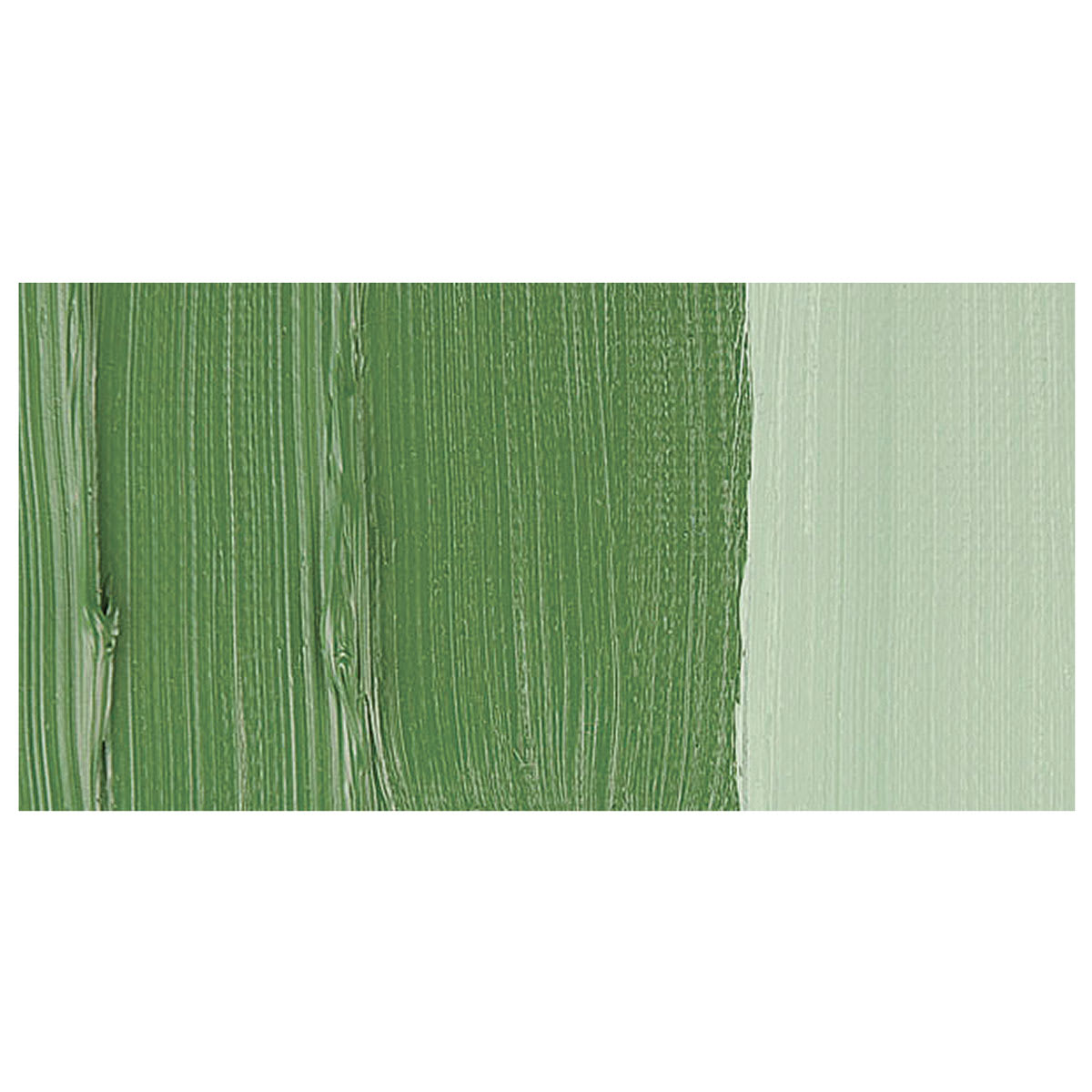 Schmincke Norma Professional Oil Paint - Chromium Oxide Green swatch