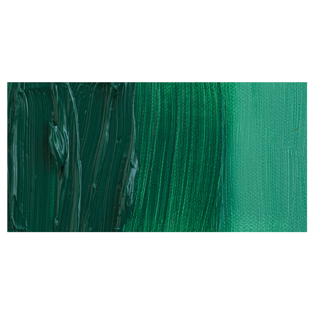 Schmincke Norma Professional Oil Paint - Chromium Oxide Green Brilliant swatch