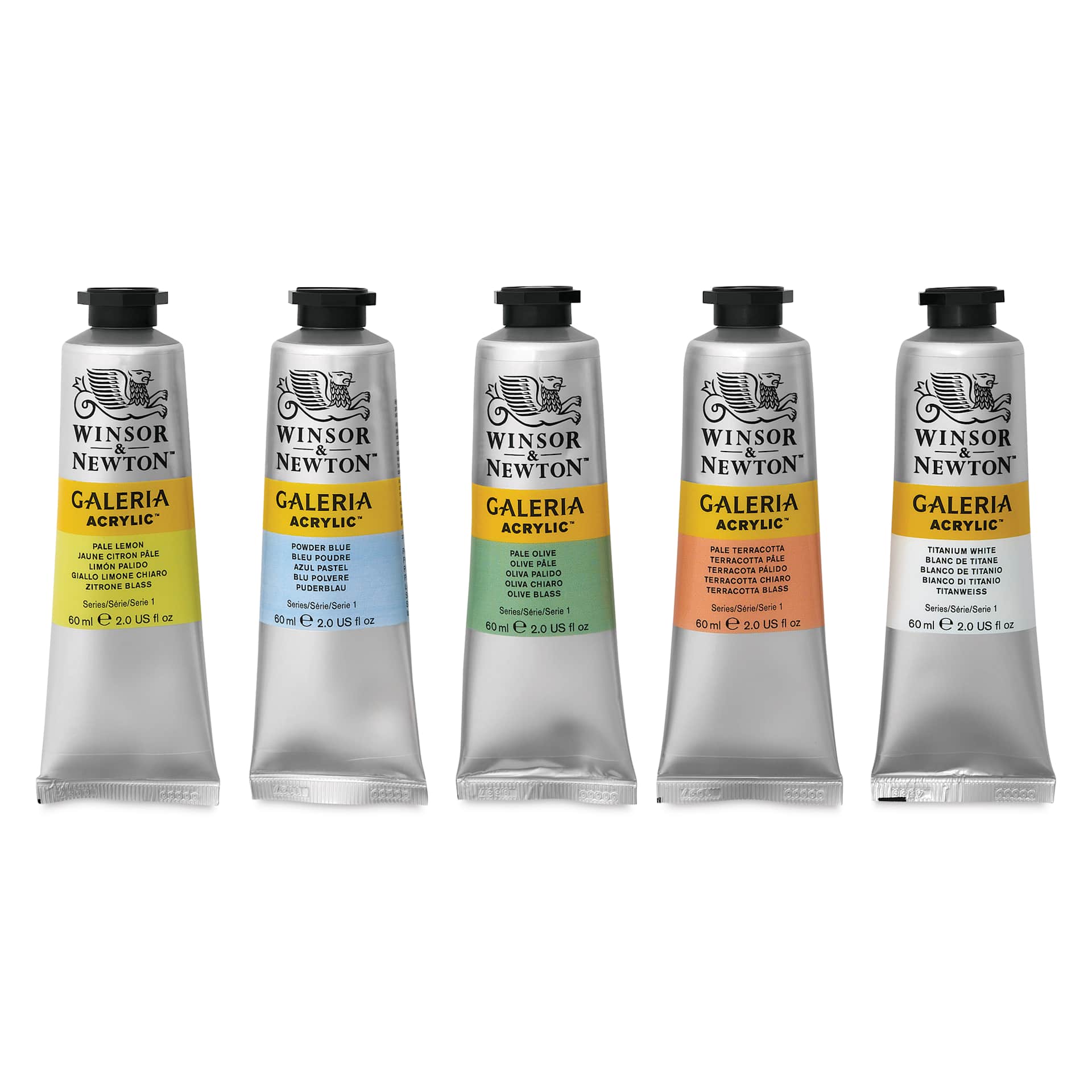 Winsor & Newton Galeria Acrylics - Set of 5, Pastel Colors, 60 ml tubes, tubes out of packaging