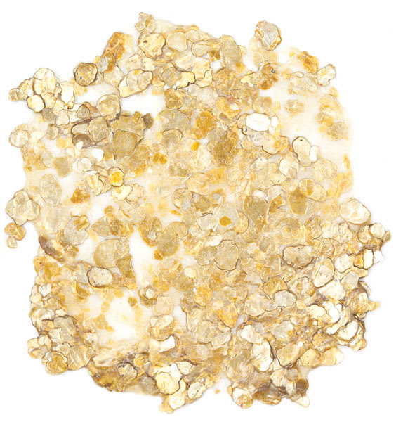 Golden Special Iridescent Acrylics - Gold Mica Flake (Large) Golden Special Iridescent Acrylics - Gold Mica Flake (Large)