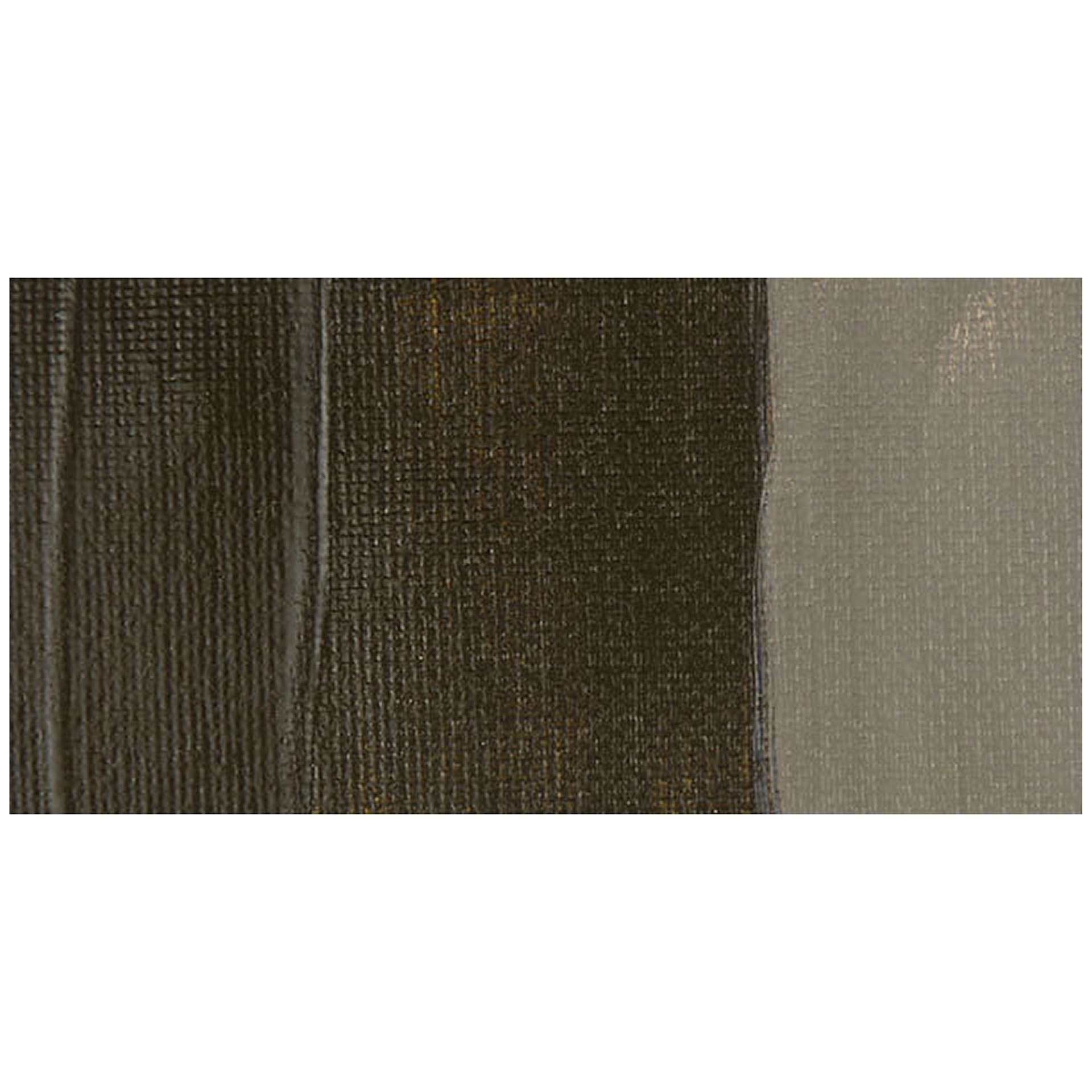 Chroma A2 Lightfast Heavy Body Arylic Paint - Raw Umber swatch
