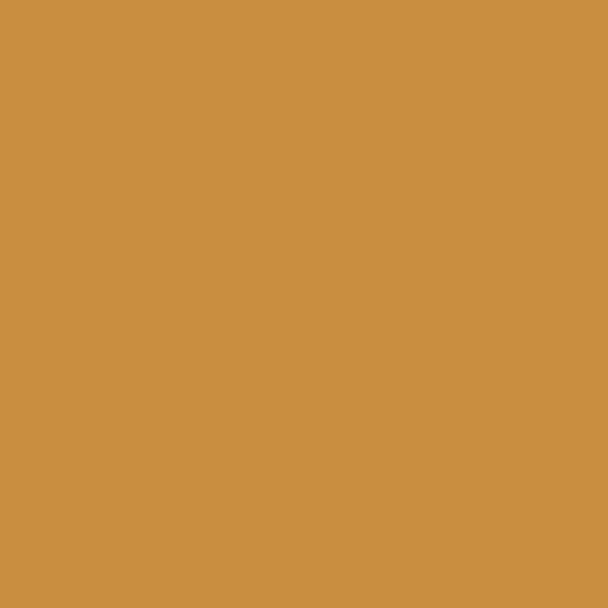 Heavy Body Acrylics Yellow Ochre