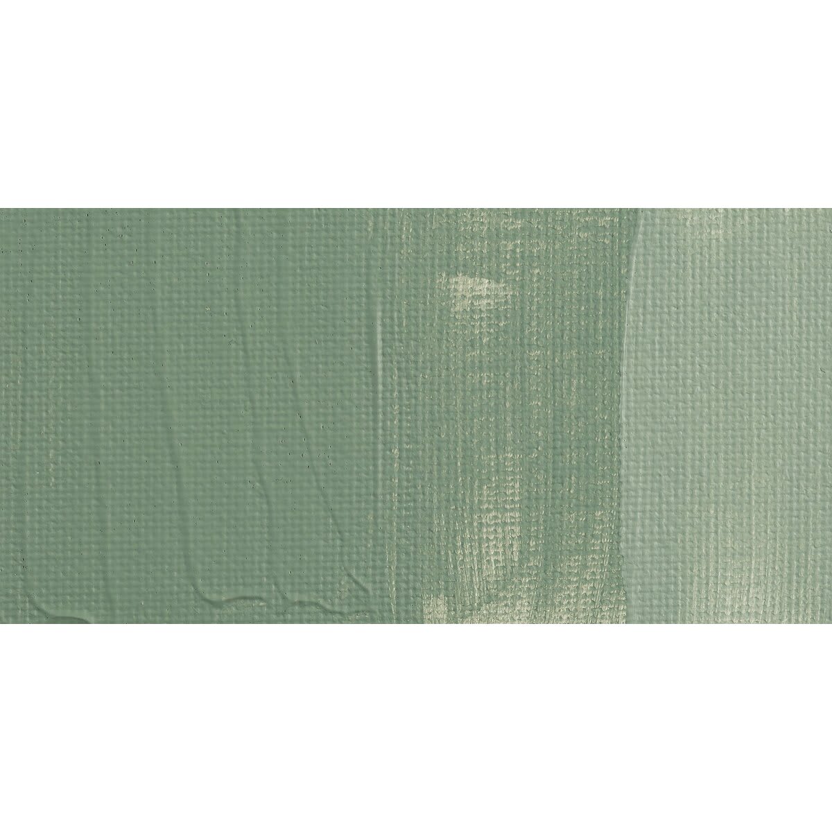 Liquitex Basics Acrylic Paint - Green Gray swatch