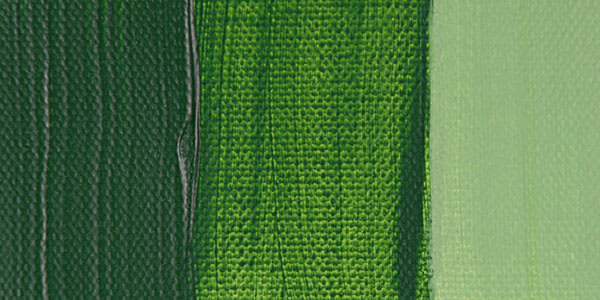 Liquitex Basics Acrylic Paint - Hookers Green Hue Permanent swatch Liquitex Basics Acrylic Paint - Hookers Green Hue Permanent swatch