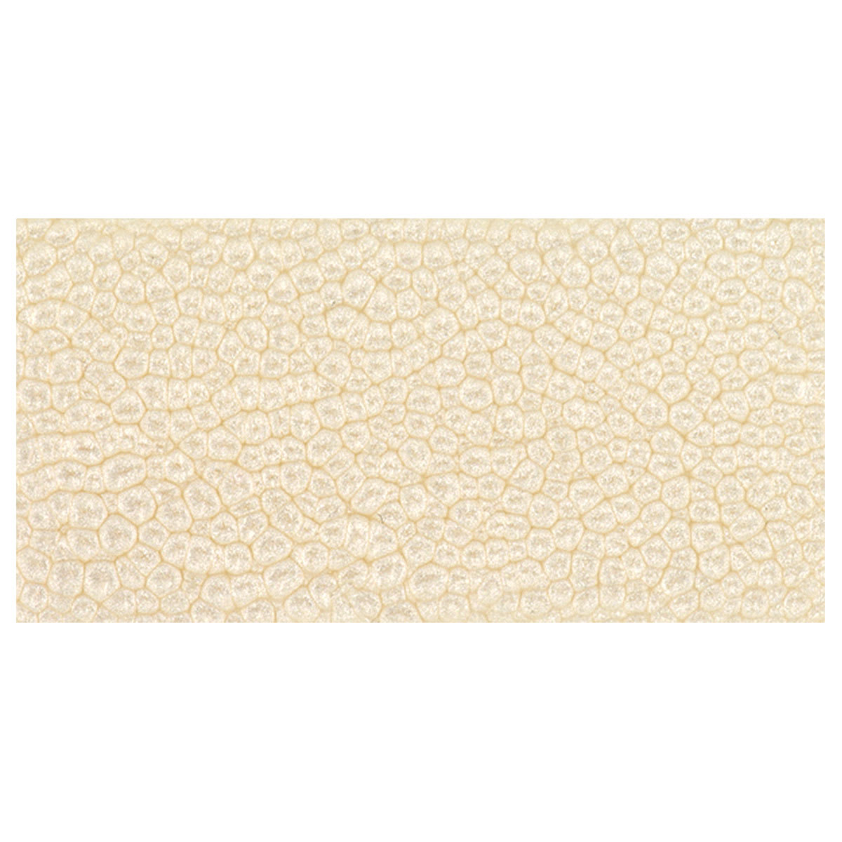 Pebeo Fantasy Prisme Paint - Eggshell White swatch