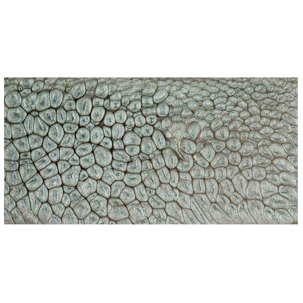 Pebeo Fantasy Prisme Paint - Moonstone swatch
