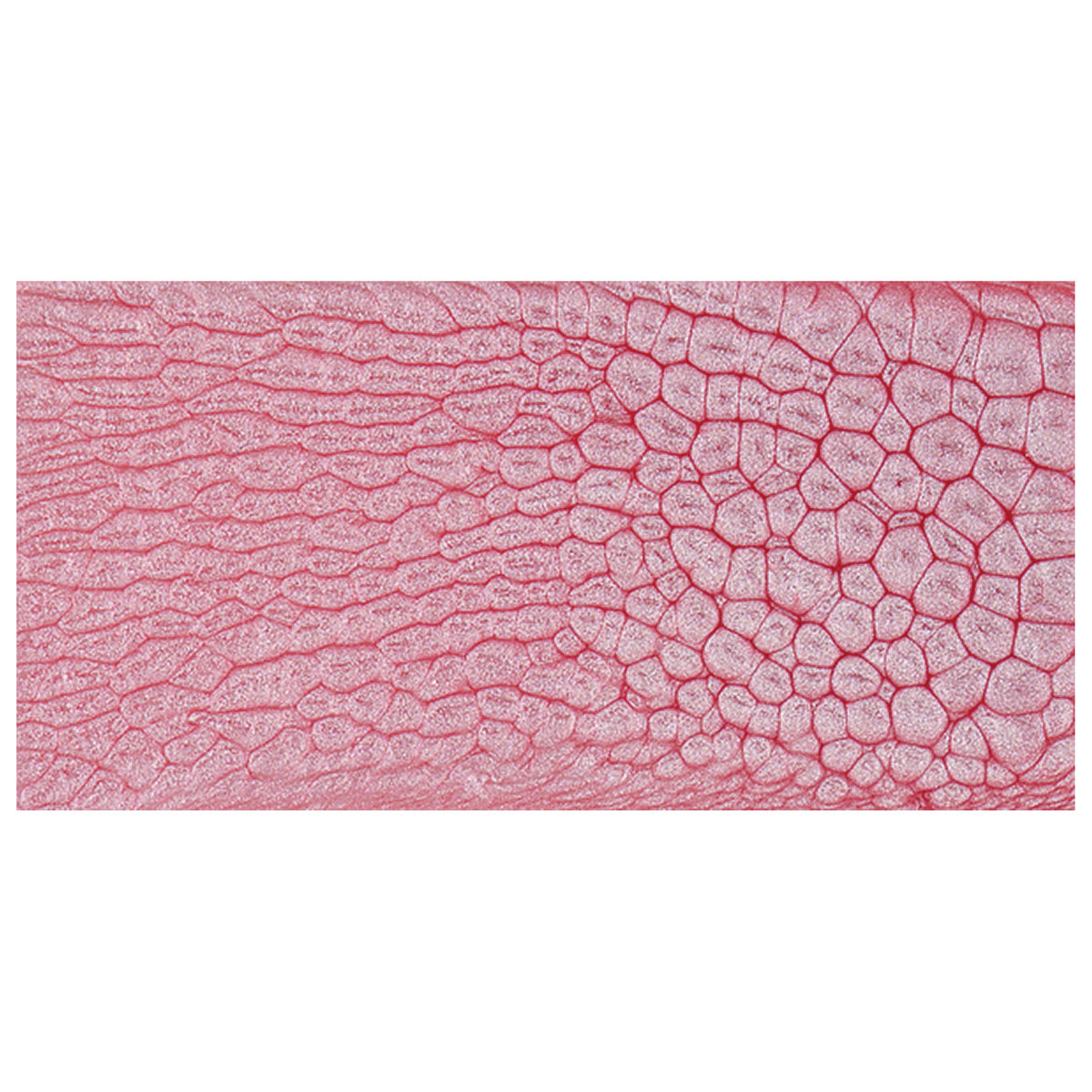 Pebeo Fantasy Prisme Paint - Icy Pink swatch