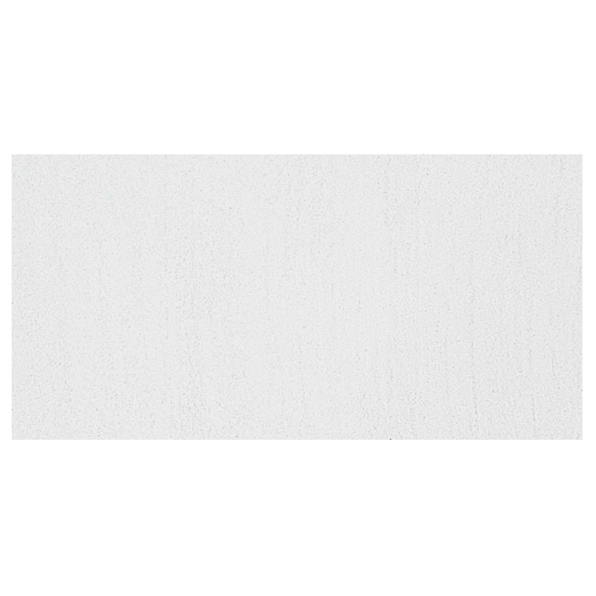 Maimeri Artist Gouache - Titanium White swatch