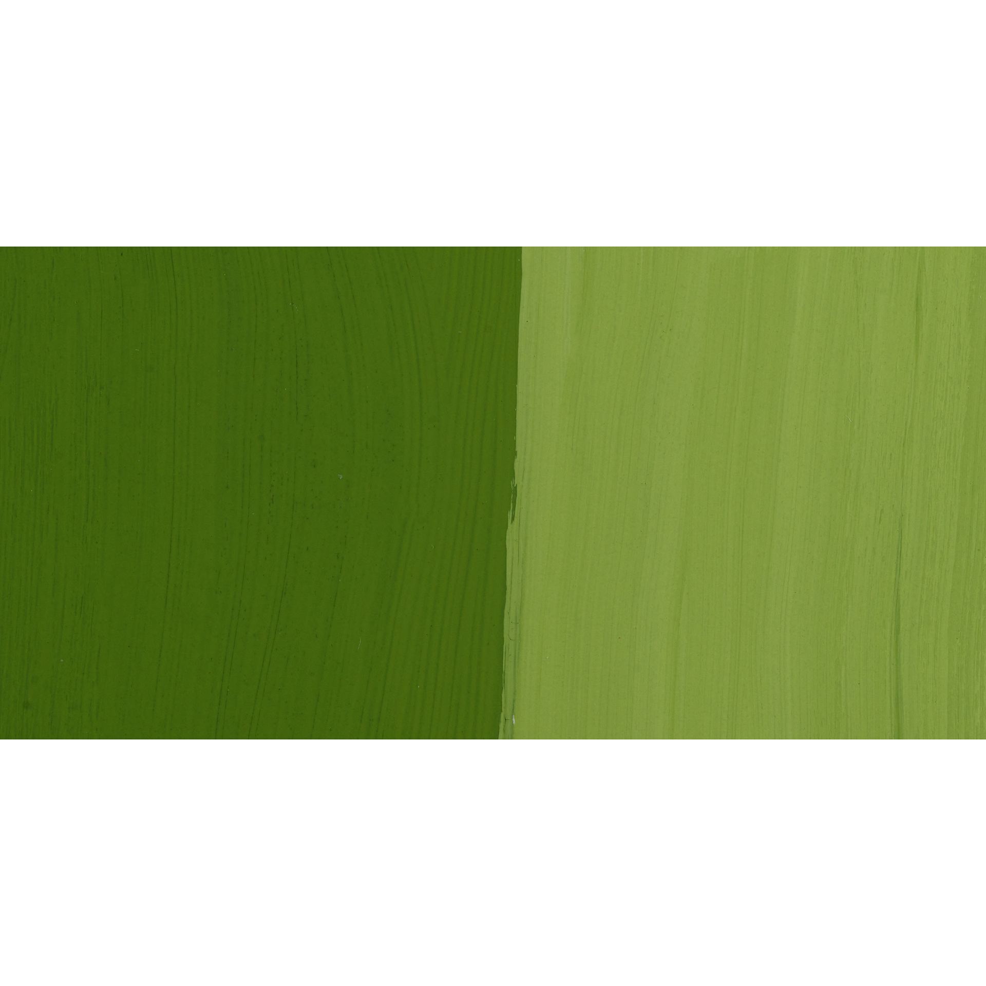 ShinHan Professional Designers Gouache - Moss Green, swatch