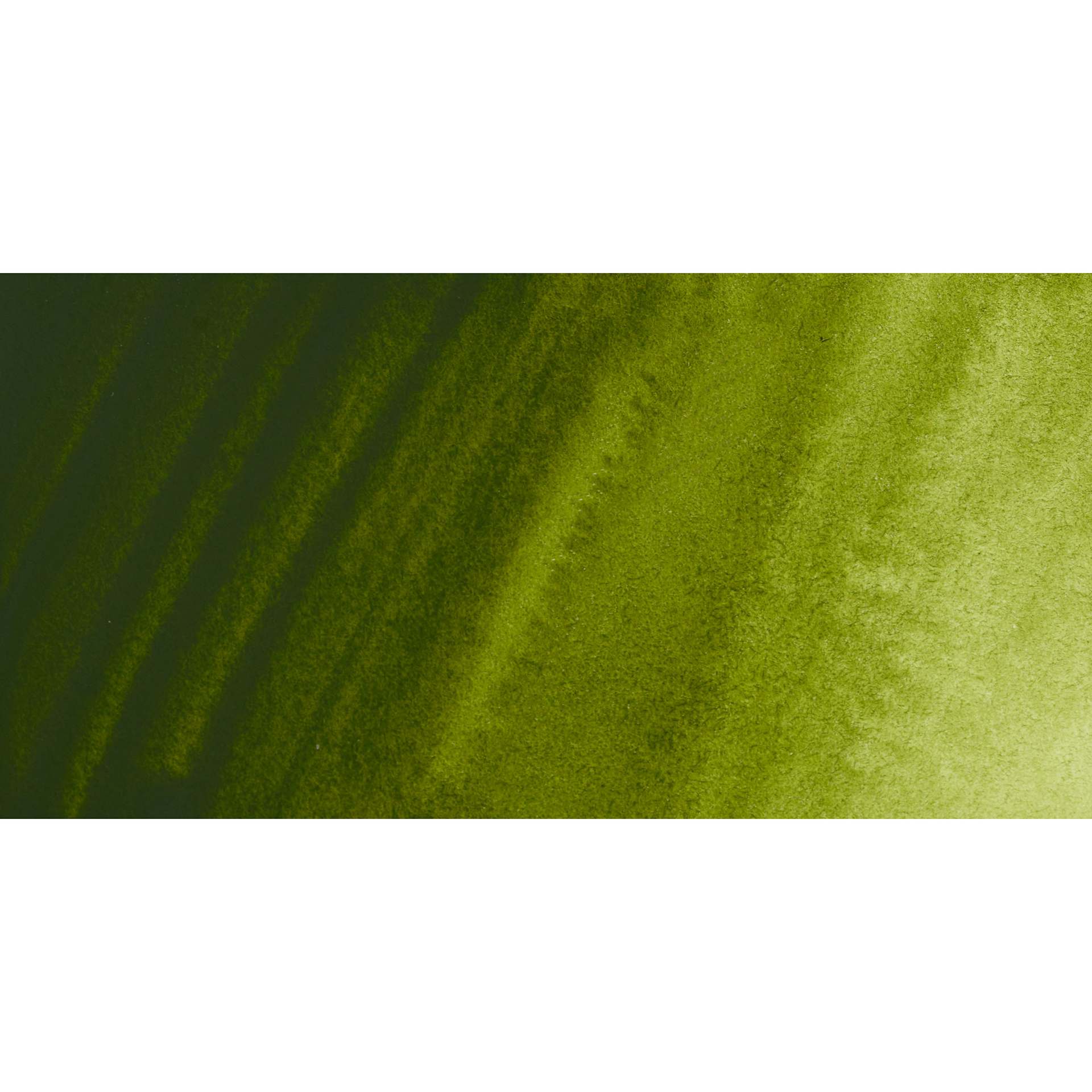 ShinHan Pass Colors Opaque Watercolor Tube - Olive Green swatch