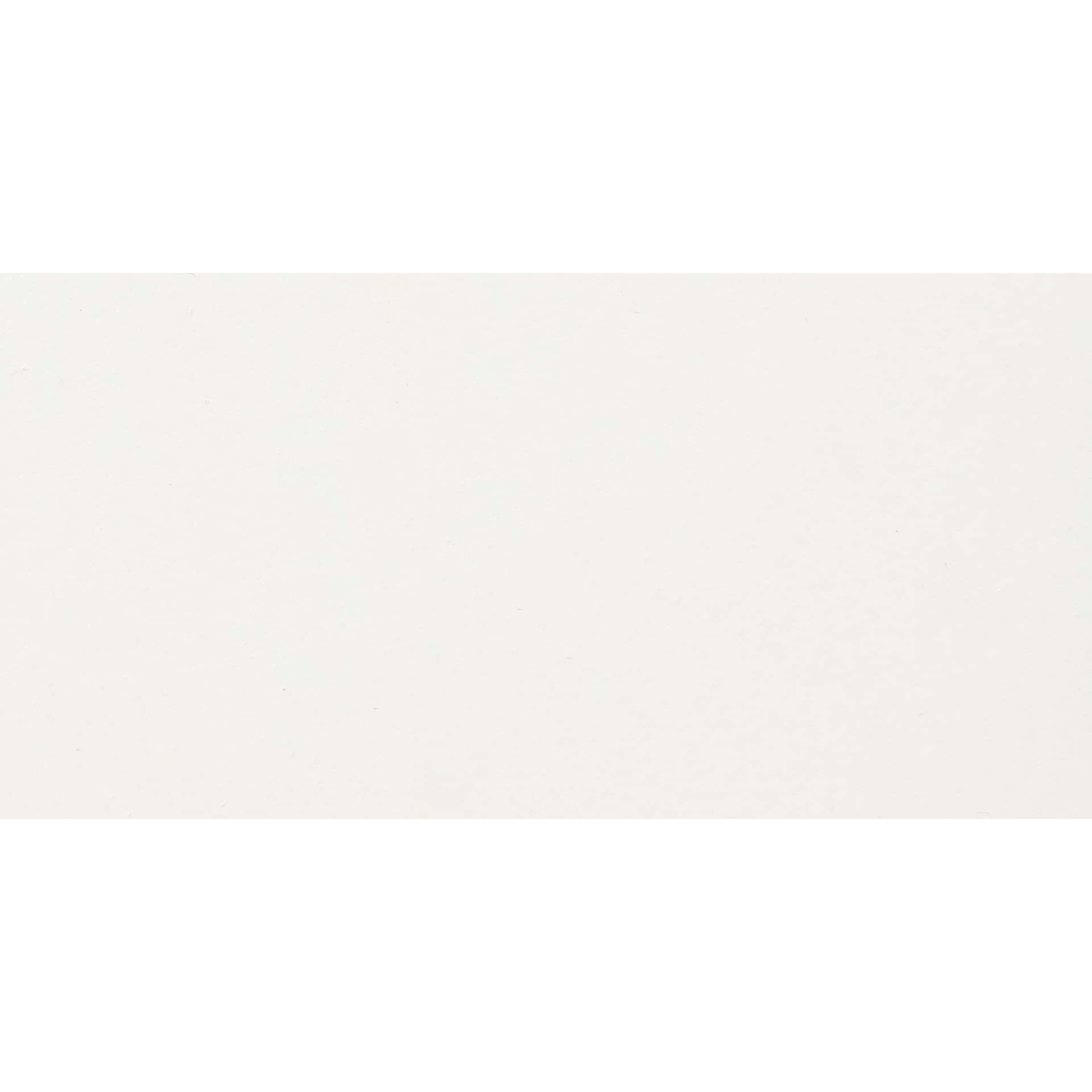 Alpha6 Alphanamel Lettering Enamel - Alpha White, 473 ml - Swatch