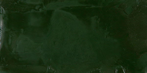 R&F Encaustic Paint - Courbet Green swatch