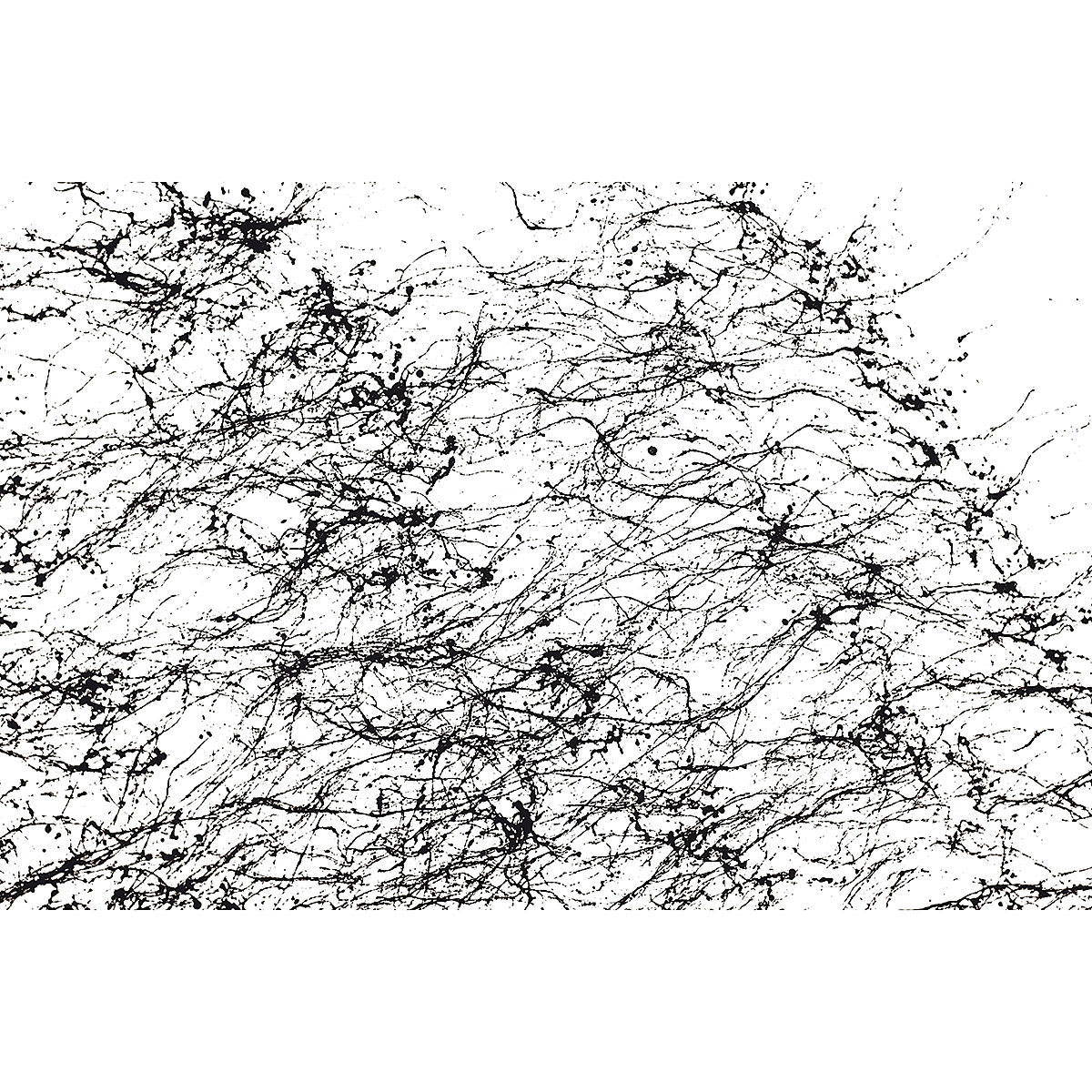 Montana Black Spider Effect Spray Paint - Spider web effect on paper