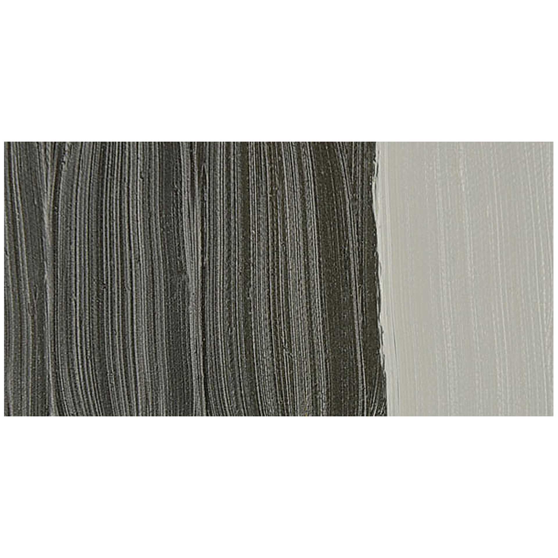 Williamsburg Handmade Oil Paint - Davy's Gray Deep swatch