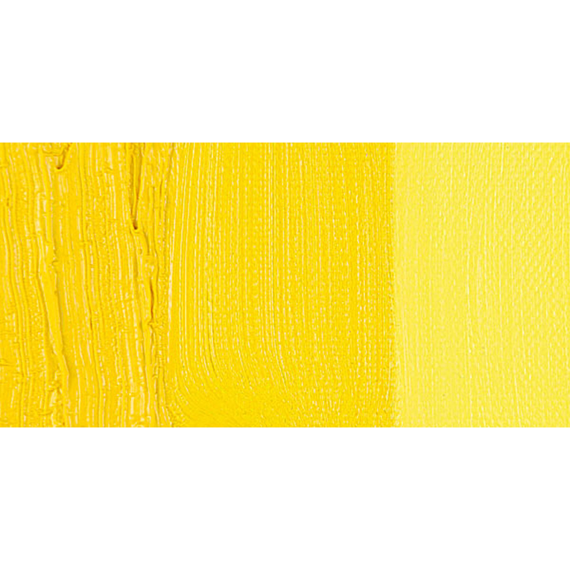 Gamblin 1980 Oil Paint - Cadmium Yellow Medium swatch