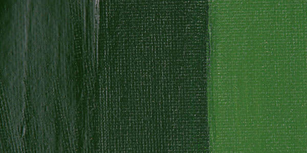 Chroma Atelier Interactive Artists' Acrylic Paint - Forest Green swatch