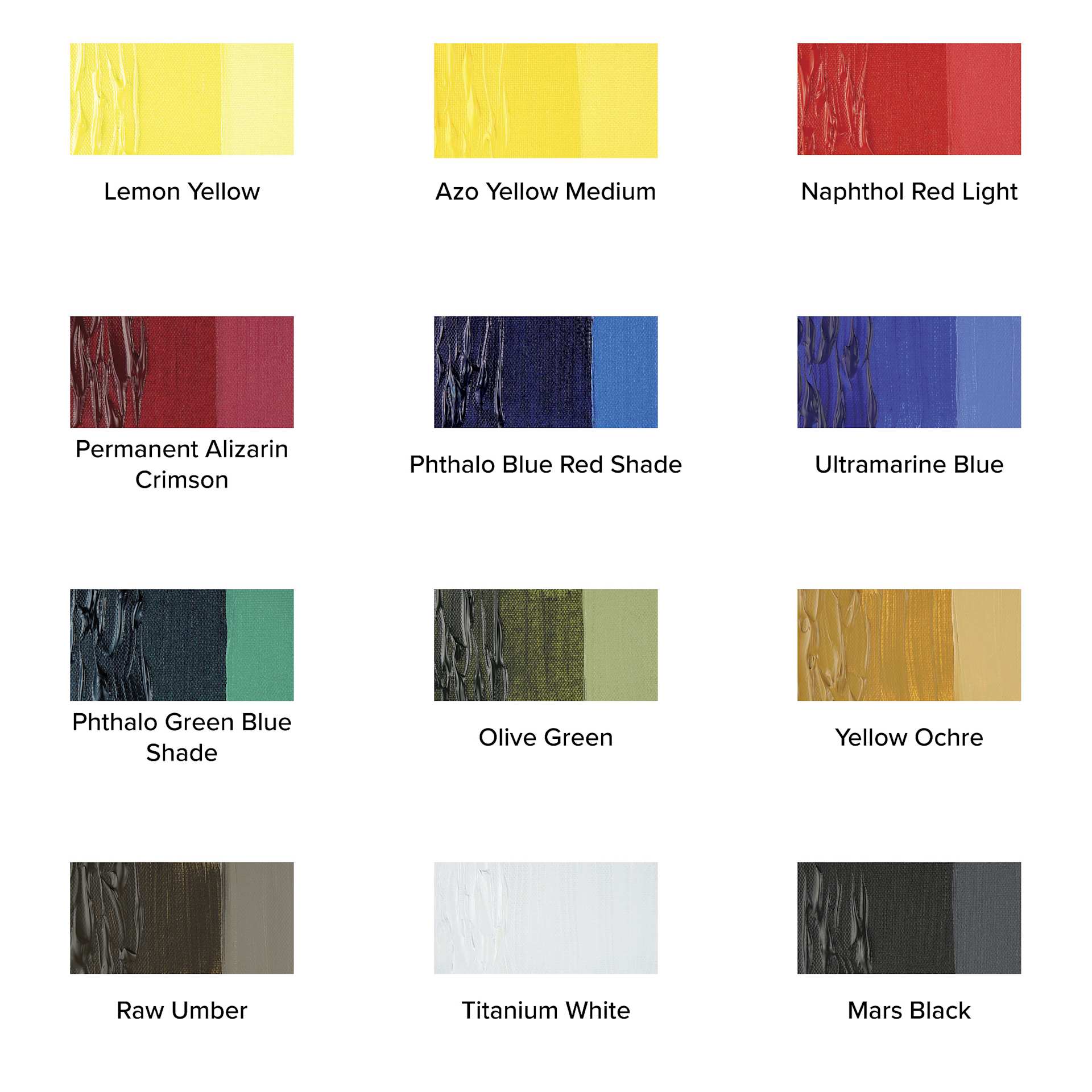 Winsor & Newton Professional Acrylics - Starter Set of 12 Colors, 20 ml tubes, swatches