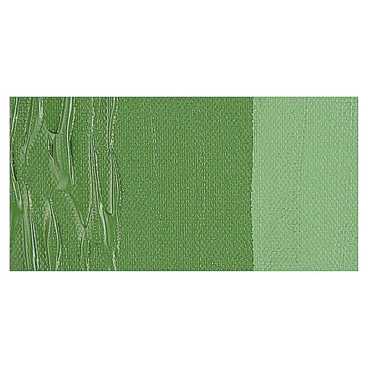 Winsor & Newton Professional Acrylic Paint - Chromium Oxide Green swatch