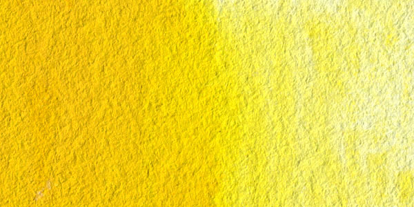 M. Graham Artists' Watercolor - Cadmium Yellow swatch
