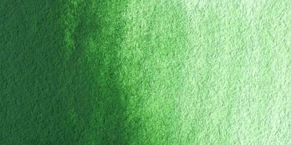 M. Graham Artists' Watercolor - Permanent Green Light swatch