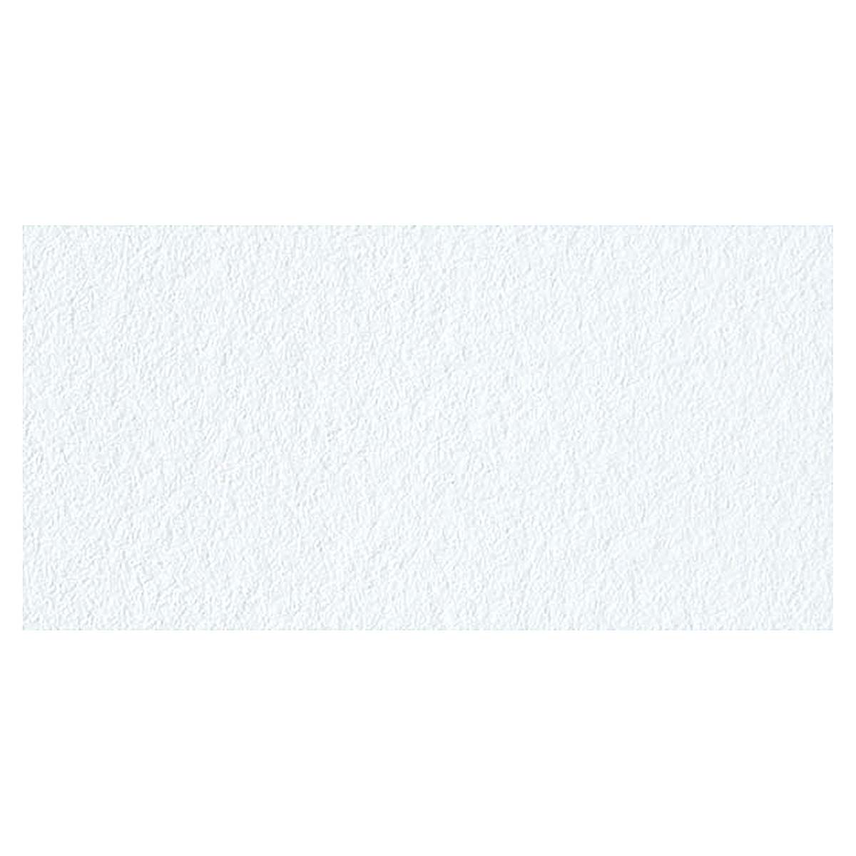 Rembrandt Artists' Watercolor - Chinese White swatch